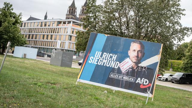 Beschädigtes Wahlplakat der AfD in Magdeburg