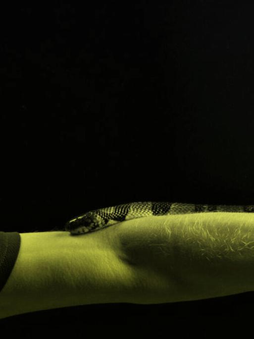 Porträt von Tim Friede, um dessen ausgestreckten Arm sich eine Wasserkobra schlängelt.
