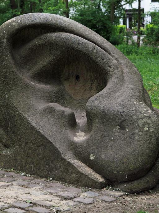 Eine Steinmetzarbeit zeigt ein Ohr, das auf einer Rasenfläche liegt.