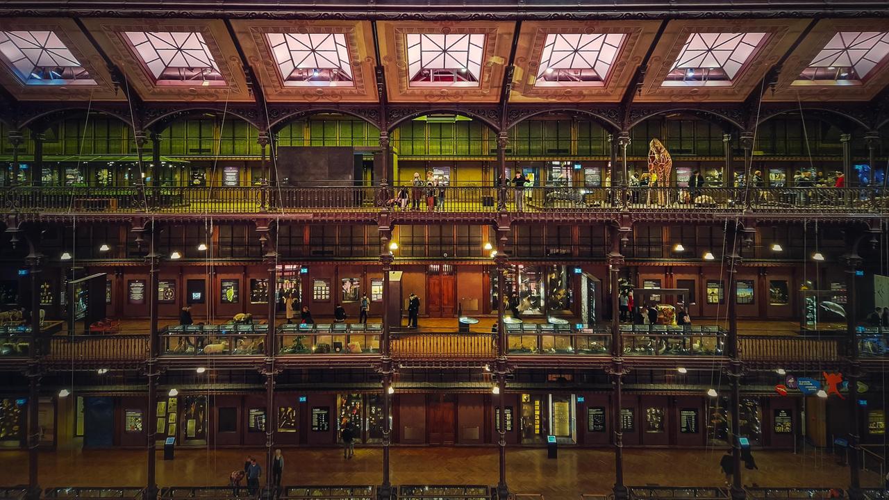 Blick ins Innere des Museums für Naturgeschichte, Paris, Frankreich, Europa