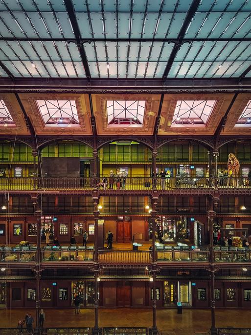Blick ins Innere des Museums für Naturgeschichte, Paris, Frankreich, Europa