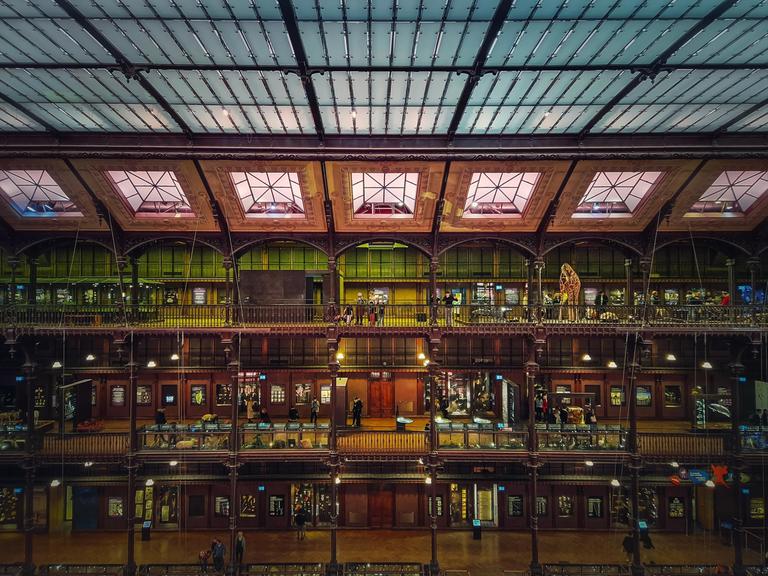 Blick ins Innere des Museums für Naturgeschichte, Paris, Frankreich, Europa