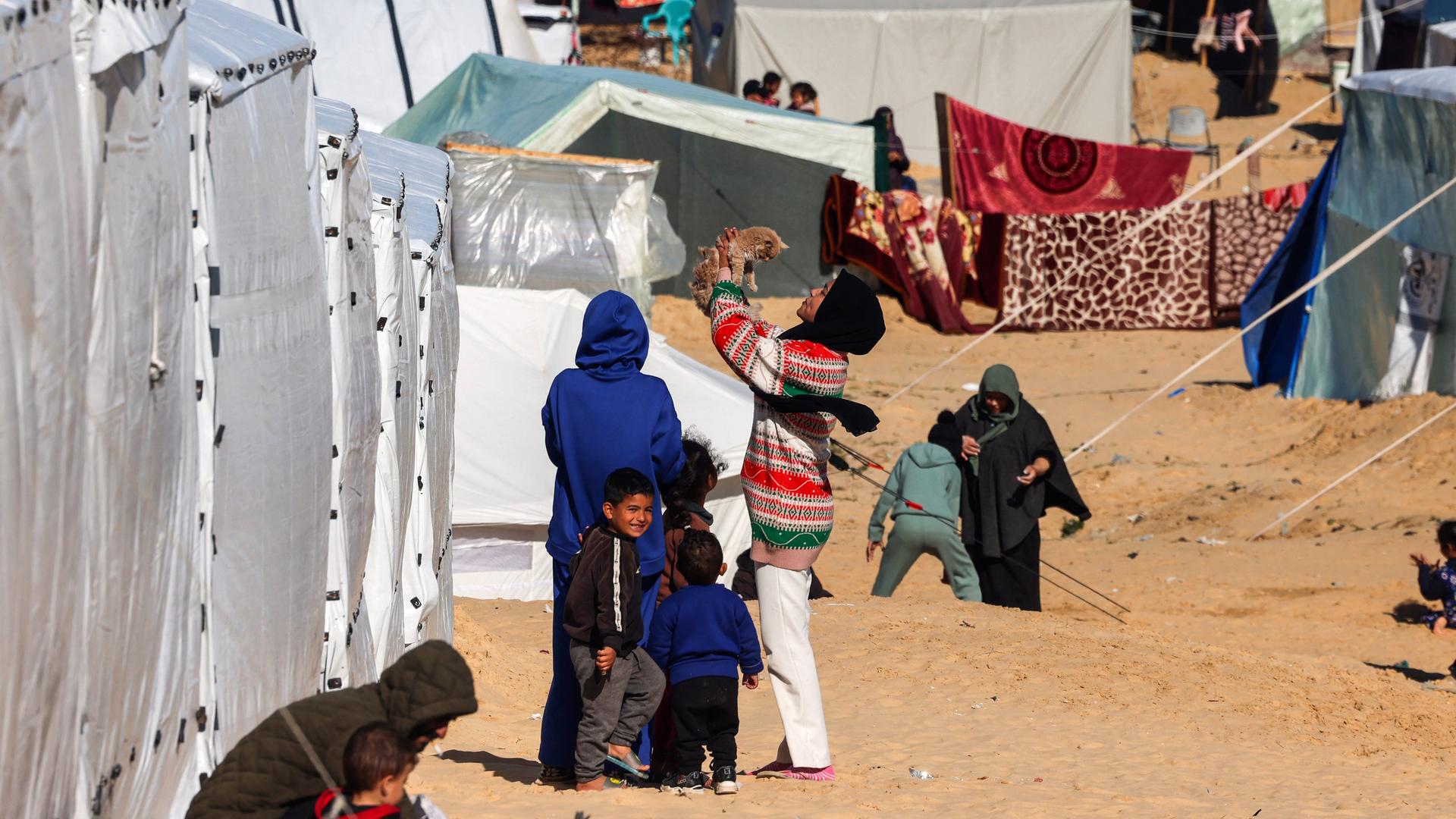 Frauen und Kinder stehen in einem Flüchtlingslager in Rafah zwischen Zelten. Eine Person hält eine Katze in die Höhe.