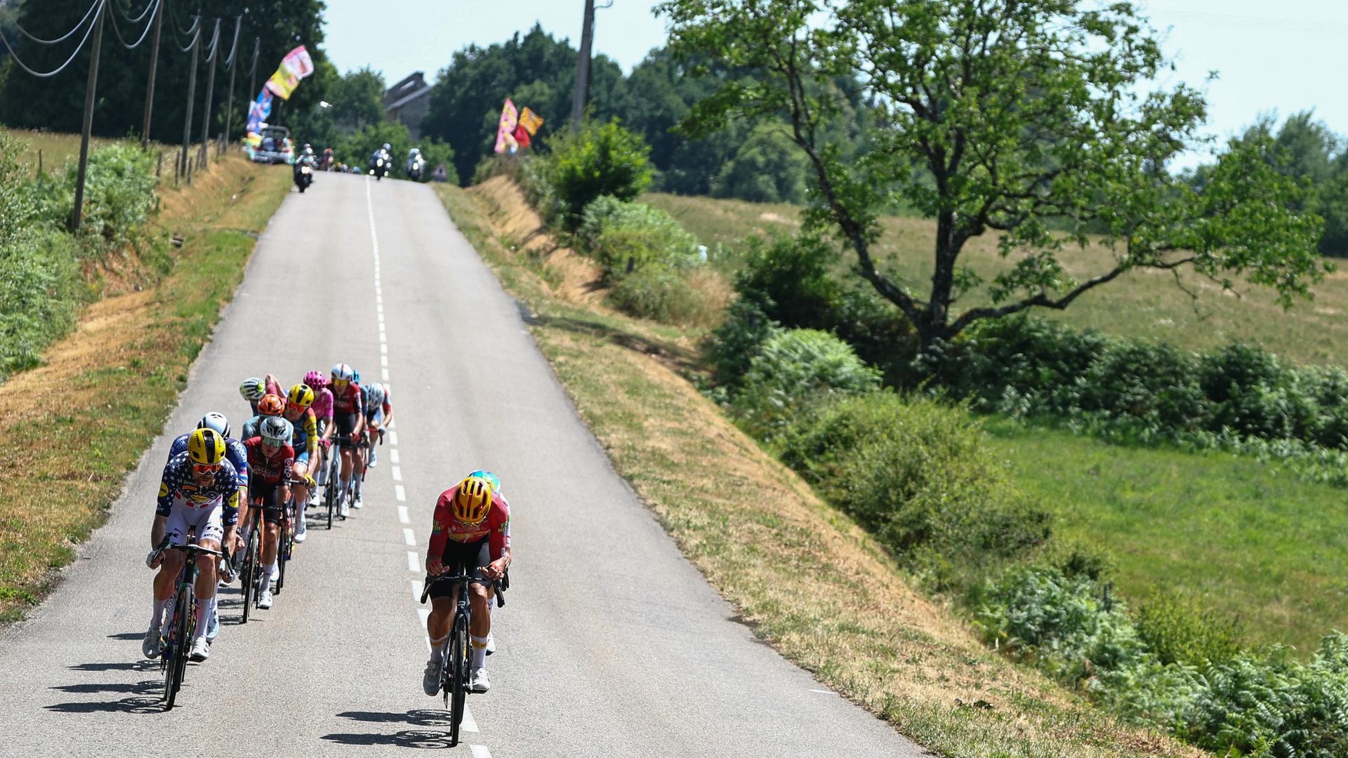 Das Bild zeigt eine Gruppe von Radfahrern, die auf die Kamera zufährt. Neben der Straße sind Bäume und Wiesen zu sehen.