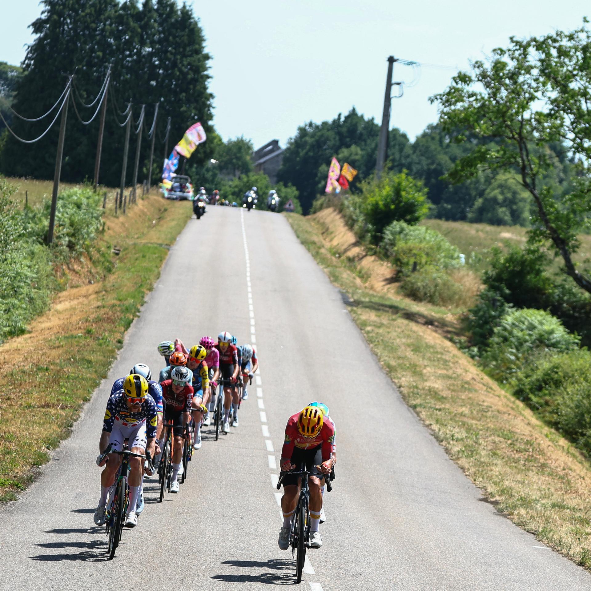 Das Bild zeigt eine Gruppe von Radfahrern, die auf die Kamera zufährt. Neben der Straße sind Bäume und Wiesen zu sehen.