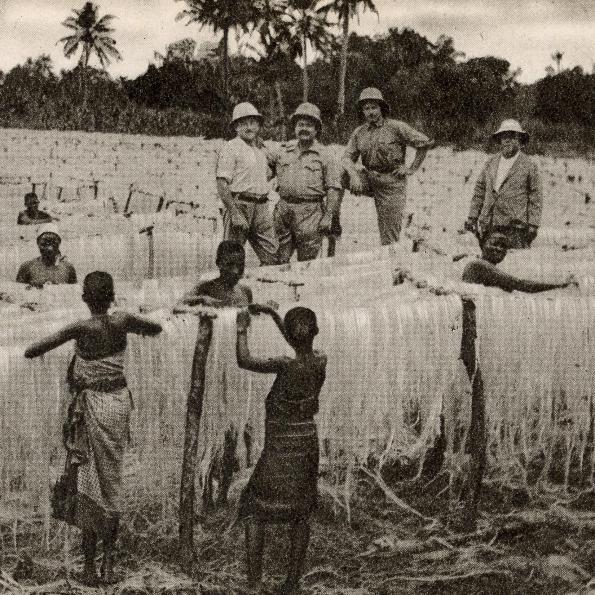 Kolonialer Schädelraub - Der Kampf der Kiwelus um ihre Ahnen