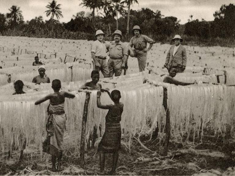 Das Schwarz-Weiß-Bild einer Sisal-Plantage in Tansania. Im Feld stehen schwarze Arbeitskräfte, die die agavenartigen Sisal-Fasern bearbeiten. Unweit davon steht eine Gruppe Weißer in Tropenkleidung, die die Arbeit anscheinend überwacht.