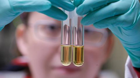 USA TODAY Lisette Fernandez, eine Laborassistentin, bereitet Proben vor, die 2006 in einen Zymark Rapid Trace Extraktor gegeben werden. Das Labor des UCLA Olympic Analytical Laboratory unter der Leitung von Dr. Don Catlin ist das einzige von der Welt-Anti-Doping-Agentur akkreditierte Labor in den USA. Das Labor bietet einer Reihe von nationalen und internationalen Sportorganisationen Schulungen und Urintests an und betreibt ständige Forschung und Entwicklung, um mit den Fortschritten im Bereich Doping/Betrug Schritt zu halten.