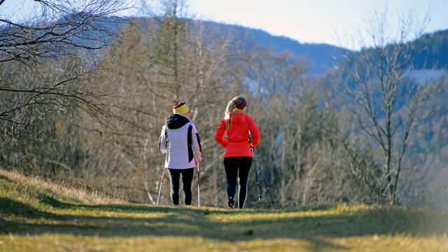 Frauen beim Nordic Walking und Wandern in Reichenau an der Rax, Niederösterreich, Österreich Frauen beim Nordic Walking und Wandern in Reichenau an der Rax, Niederösterreich, Österreich