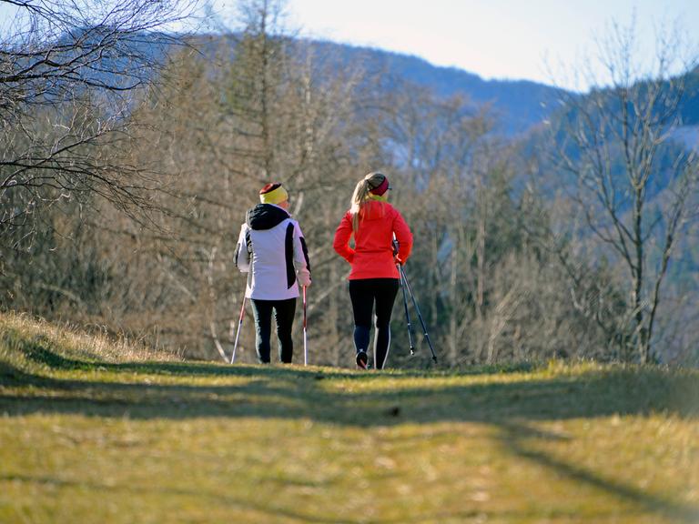 Frauen beim Nordic Walking und Wandern in Reichenau an der Rax, Niederösterreich, Österreich 