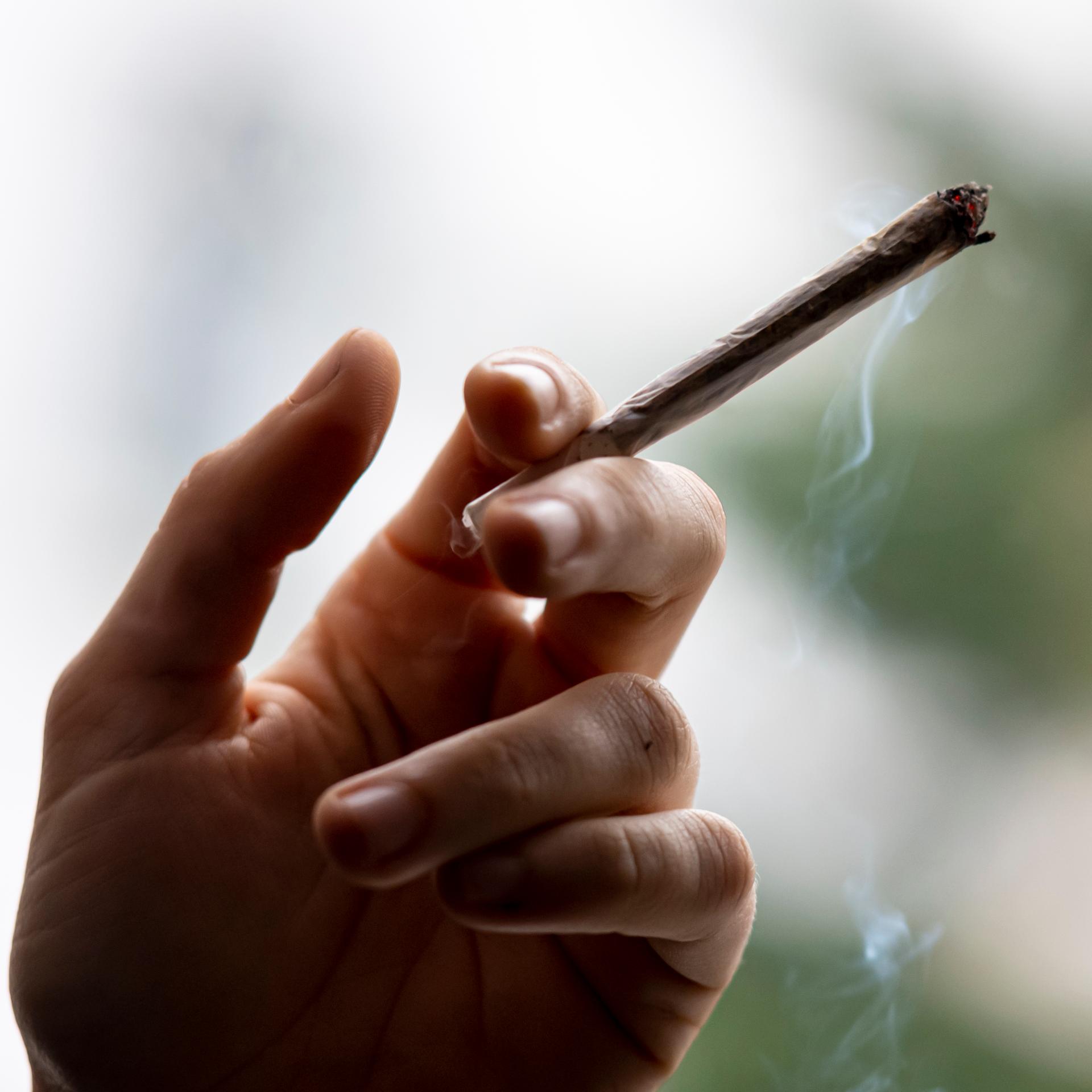 Legalize it? - Eine Geschichte von Rausch und Drogen