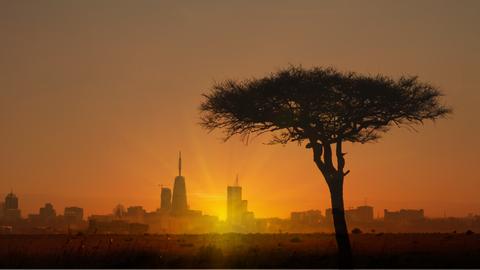 Silhouette eines Baumes vor der Skyline Nairobis bei Sonnenuntergang.