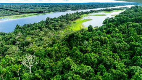 Ein Fluss fließt durch den Amazonas-Regenwald. 