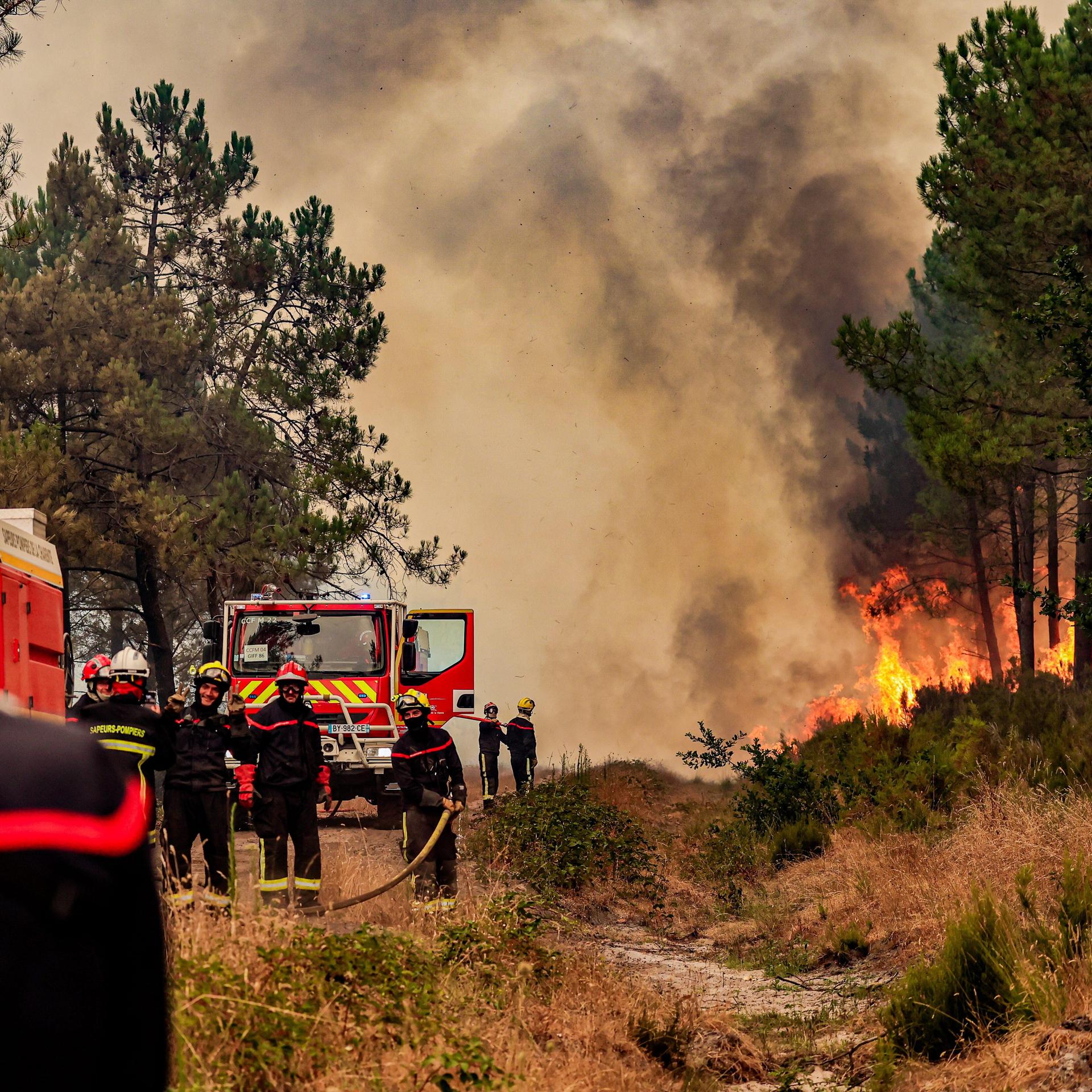 Waldbrände: Hitze in Europa. Interview Alexander Held, Feuerökologe