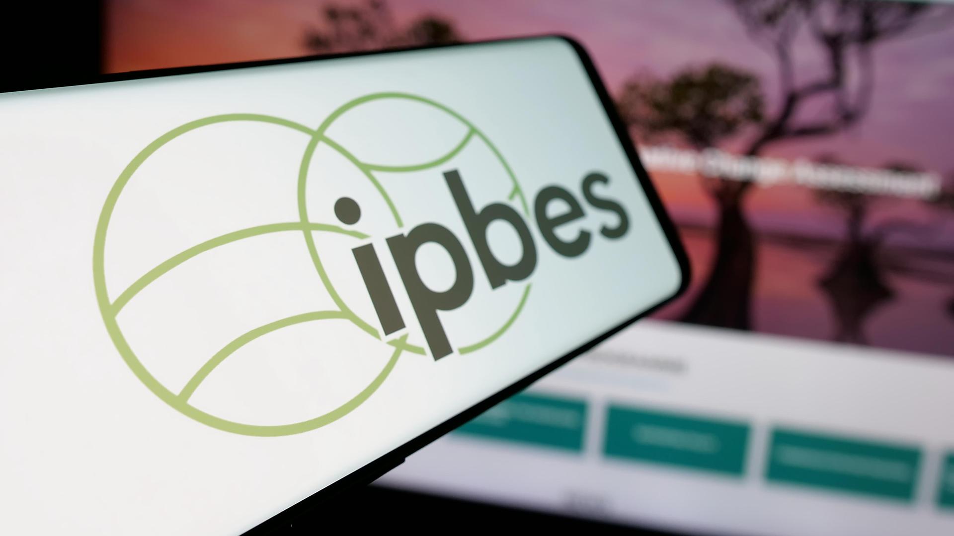 Logo des IPBS - Weltbiodiversitätsrat