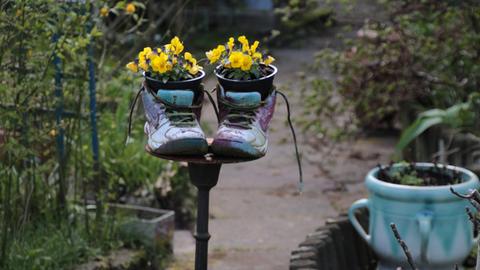 Kleingärten - die Suche nach Kontakt mit der Natur. Zu sehen: In einer Kleingartenanlage sind zwei Schuhe mit Töpfen, in denen Blumen blühen, aufgestellt. 