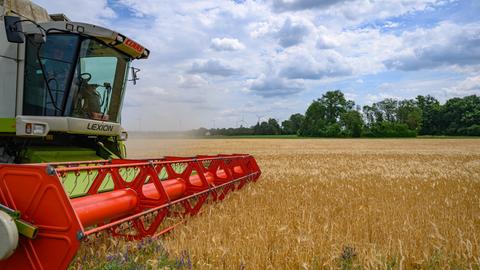 Ein Landwirt erntet mit seinem Mähdrescher Gerste auf einem Feld im Landkreis Oder-Spree in Ostbrandenburg. 