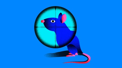 Die Grafik zeigt eine Ratte im Fadenkreuz