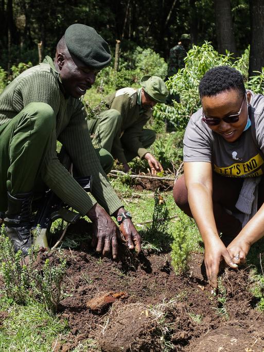 In Kenia pflanzen Freiwillige zusammen mit Park Rangern Bäume im Mau-Wald. 