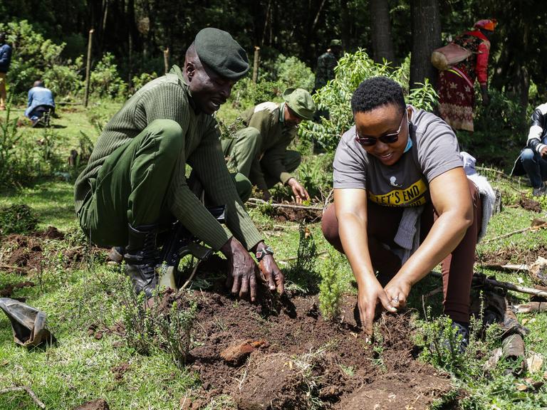 In Kenia pflanzen Freiwillige zusammen mit Park Rangern Bäume im Mau-Wald. 