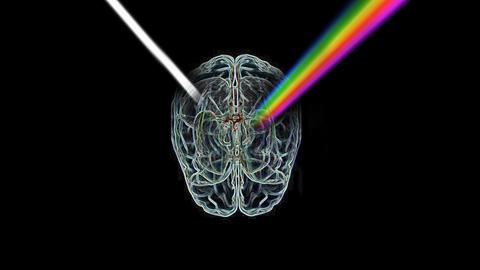 Illustration: In einem Gehirn bricht Licht als ein regenbogenfarbenes Prisma.