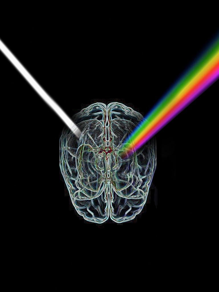Illustration: In einem Gehirn bricht Licht als ein regenbogenfarbenes Prisma.