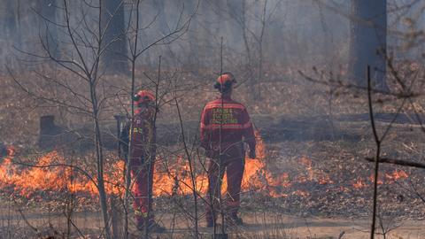 Zwei Mitarbeiter der kanadischen Behörden bei einem kontrollierten, präventiven Feuer, bei dem nahe am Boden trockenes Laub und Zweige verbrannt werden, ohne die größeren Bäume zu schädigen