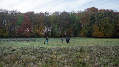 Vier Personen und ein Hund laufen über ein Feld auf ein Waldstück zu.