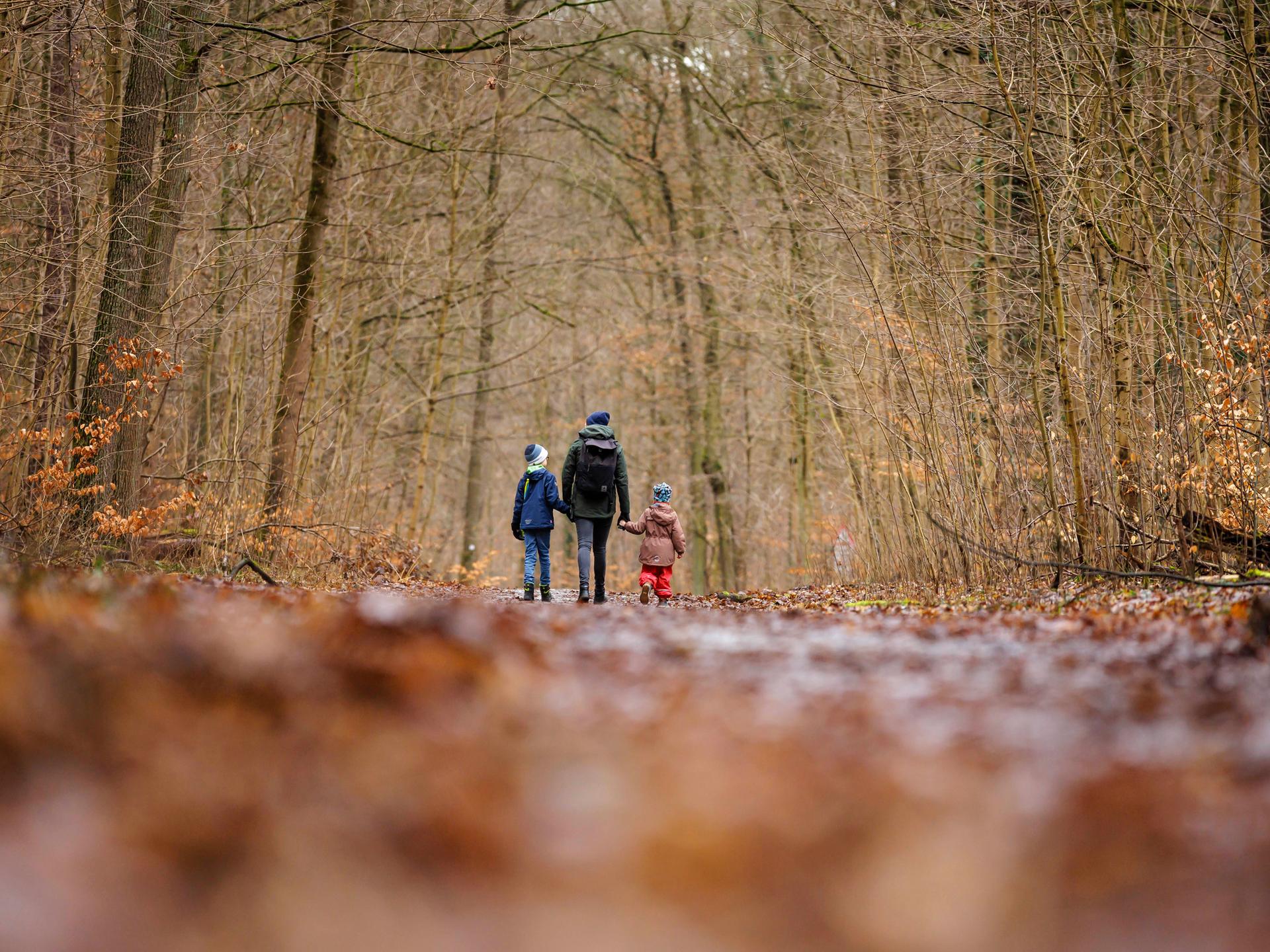 Eine Frau läuft mit zwei Kindern durch einen Wald.