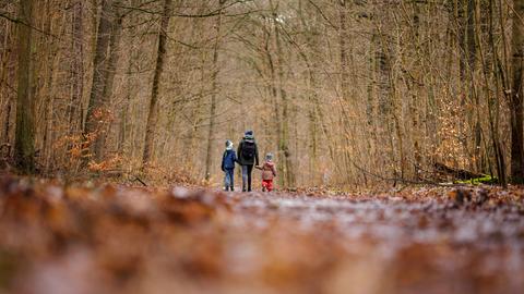 Eine Frau läuft mit zwei Kindern durch einen Wald.