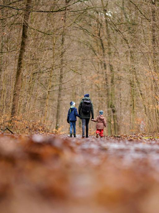 Eine Frau läuft mit zwei Kindern durch einen Wald.