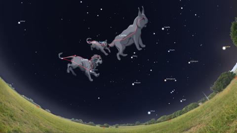 Abbildung des Sternhimmels am 4. April 2024. Einige Sterne sind mit Linien verbunden. Es sind die Sternbilder Luchs, Kleiner Löwe und Löwe.