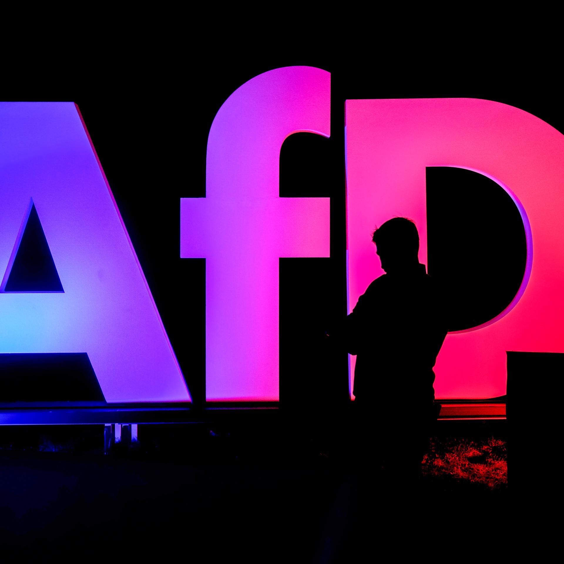 Bayern - Katholiken-Komitee wirft AfD vor, 