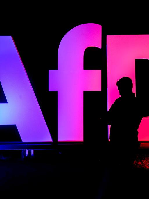 Die Silhouette einer Person vor einem rosa-violett beleuchteten AfD-Logo in einem dunklen Raum.