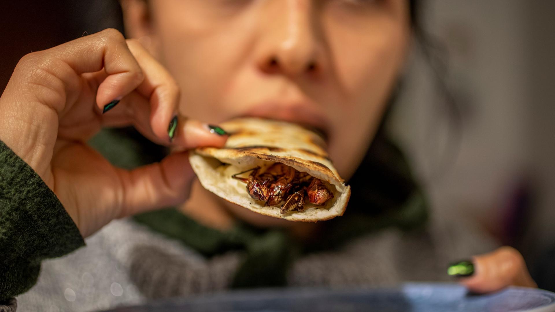 Eine Frau kostet eine Quesadilla mit Wanderheuschrecken auf einem Markt. In der mexikanischen Küche kommen Insekten vor, in Pulverform, getrocknet, gefroren, mit und ohne Flügeln oder Beinen auf den Tisch.