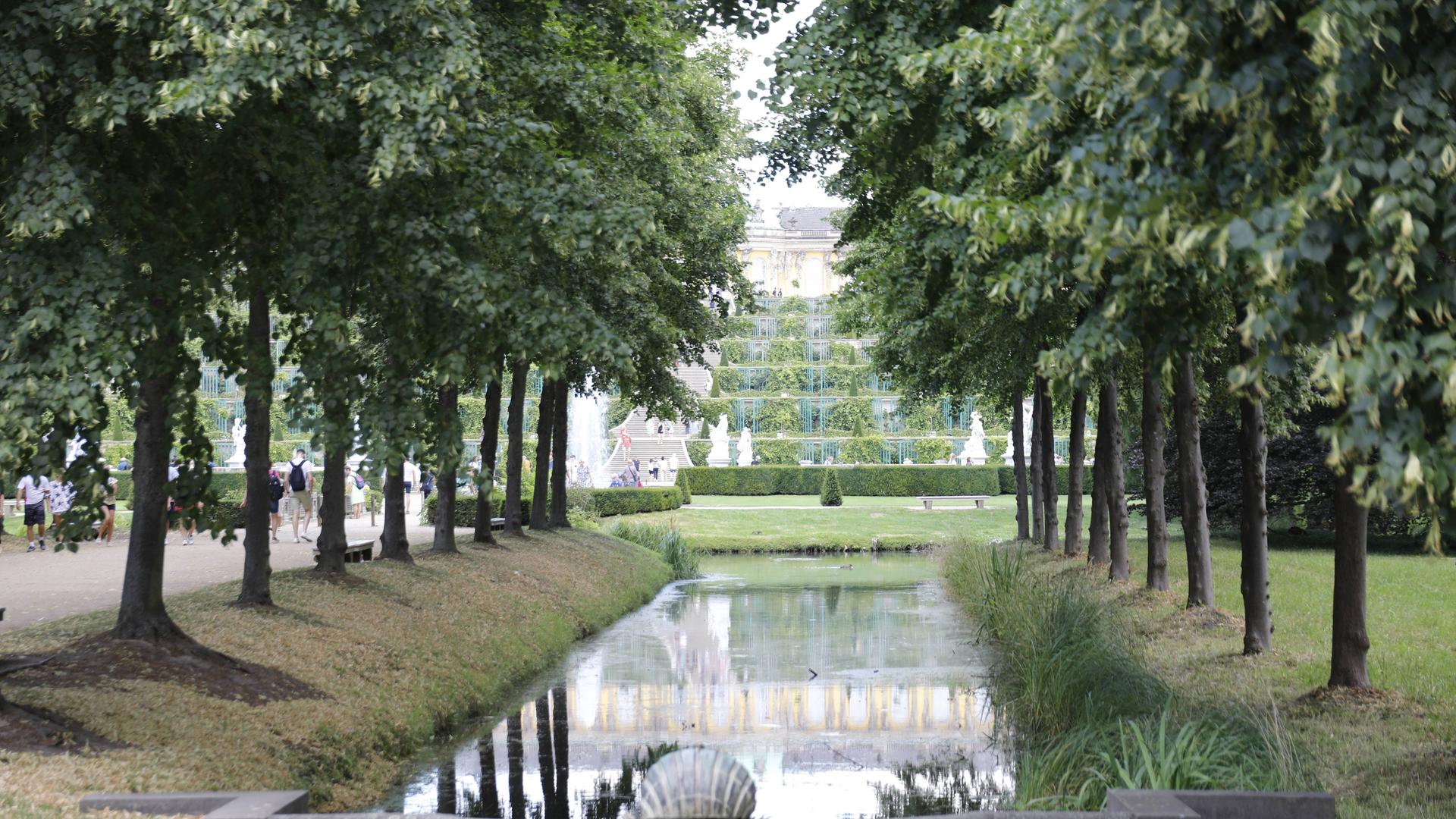 Park von Sanssouci. Vorne ein See, rechts und links Bäume, Blick auf das Schloss.