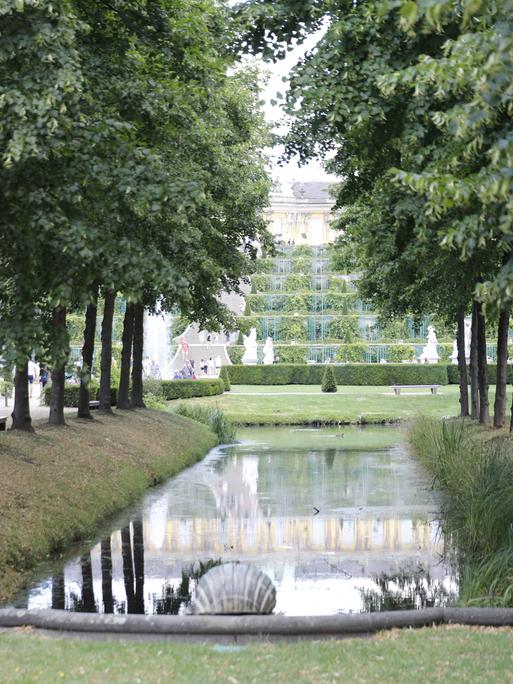 Park von Sanssouci. Vorne ein See, rechts und links Bäume, Blick auf das Schloss.