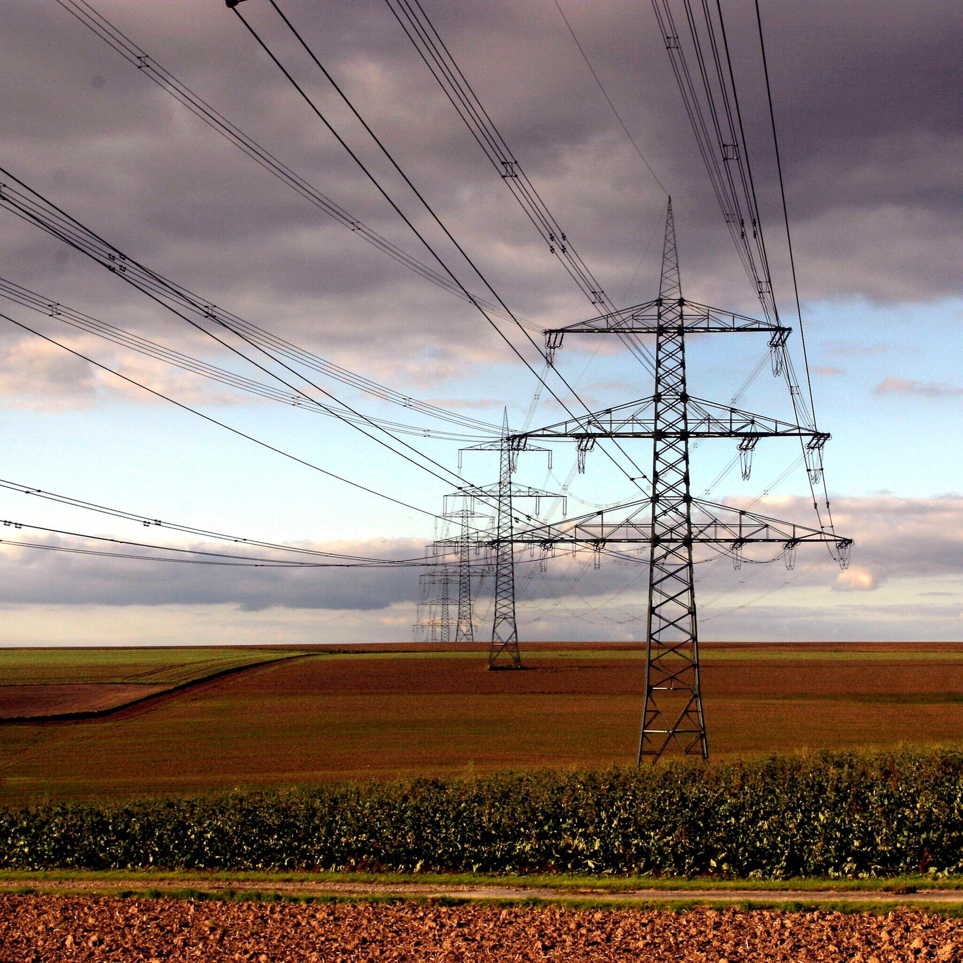 05. November 2025 - Die Wirtschaftspresseschau