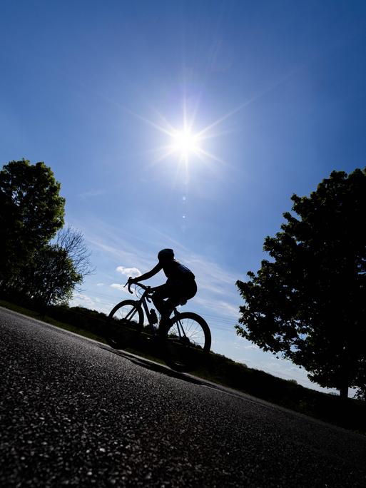 Rennradfahrerin fährt im Gegenlicht der Sonne