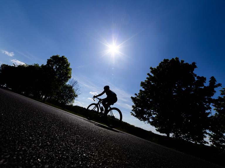 Rennradfahrerin fährt im Gegenlicht der Sonne