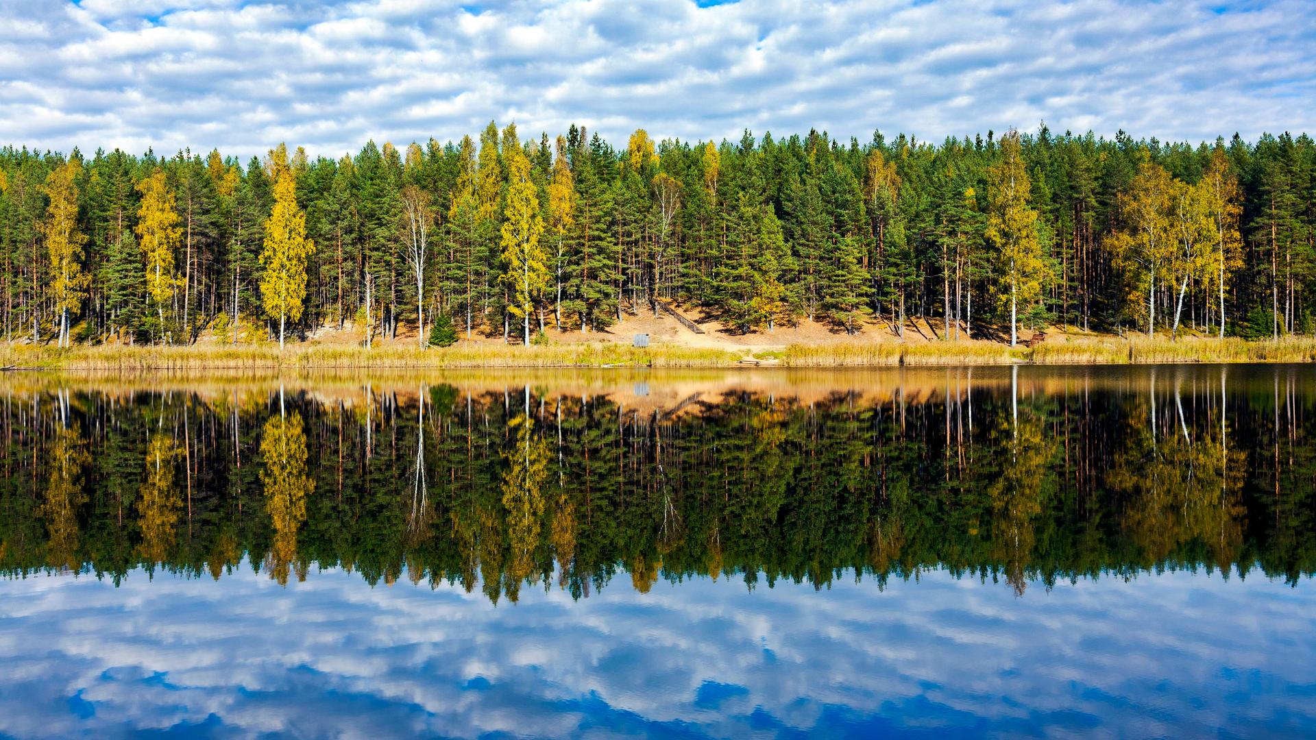 Herbstlich gefärbte Bäume spiegeln sich im See