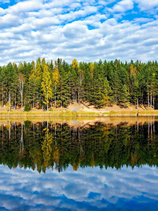 Herbstlich gefärbte Bäume spiegeln sich im See