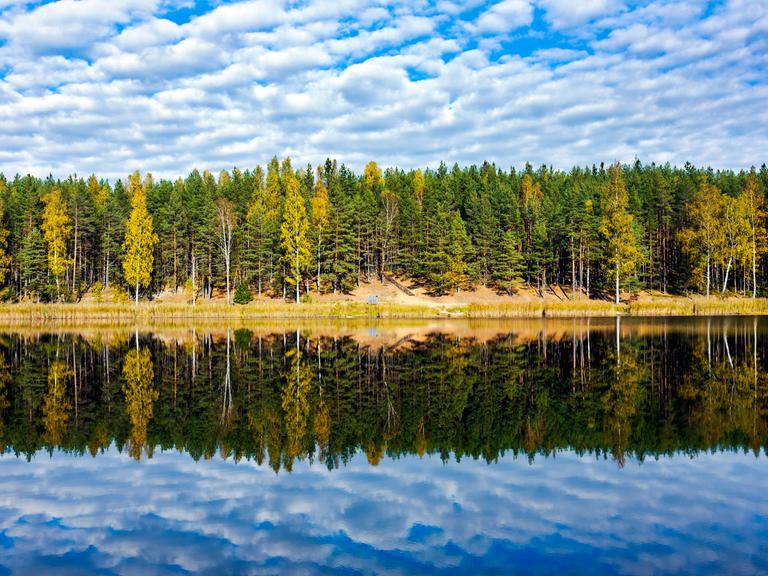 Herbstlich gefärbte Bäume spiegeln sich im See