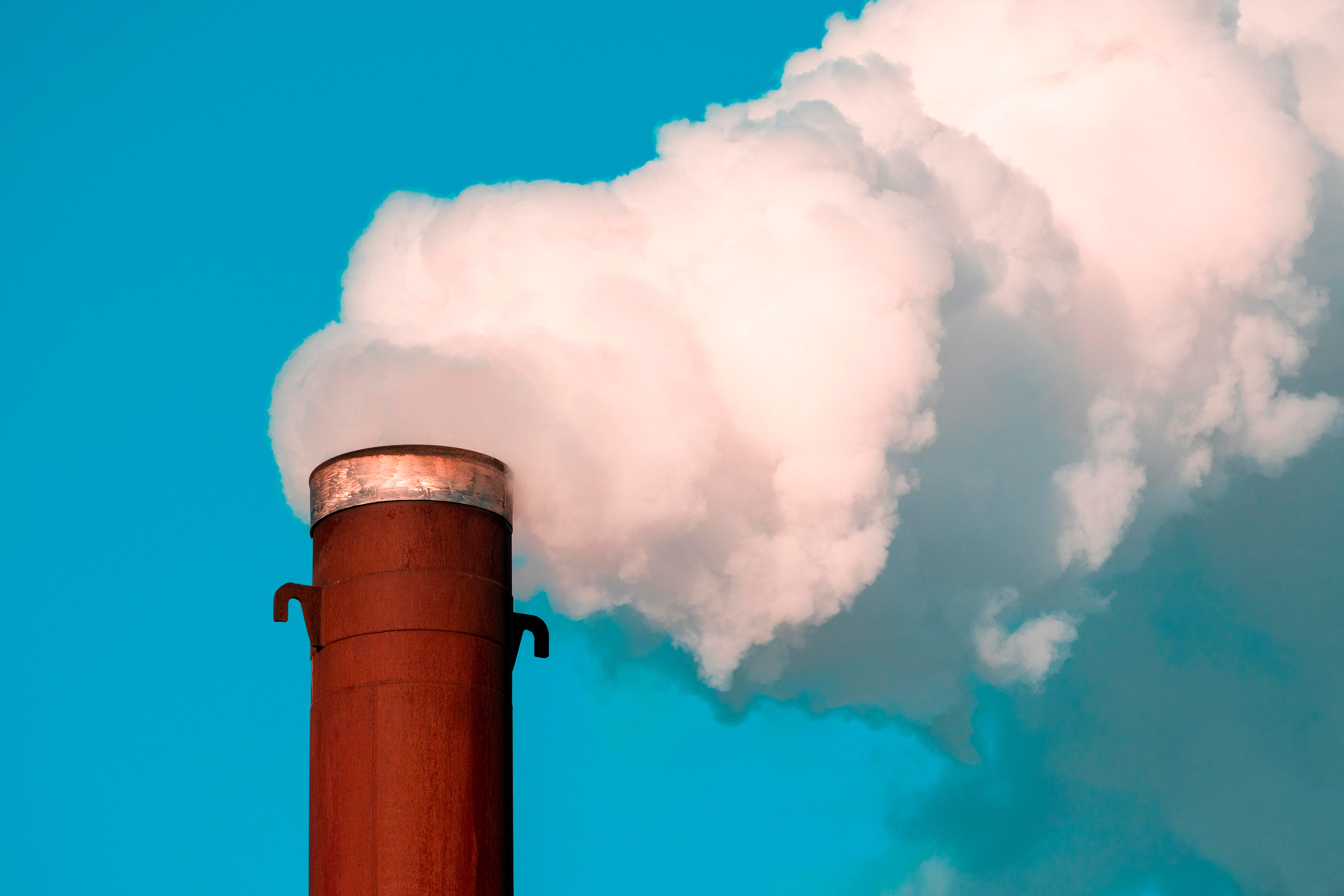 CO2-Düngung - Warum sie wichtig ist und wie es geht