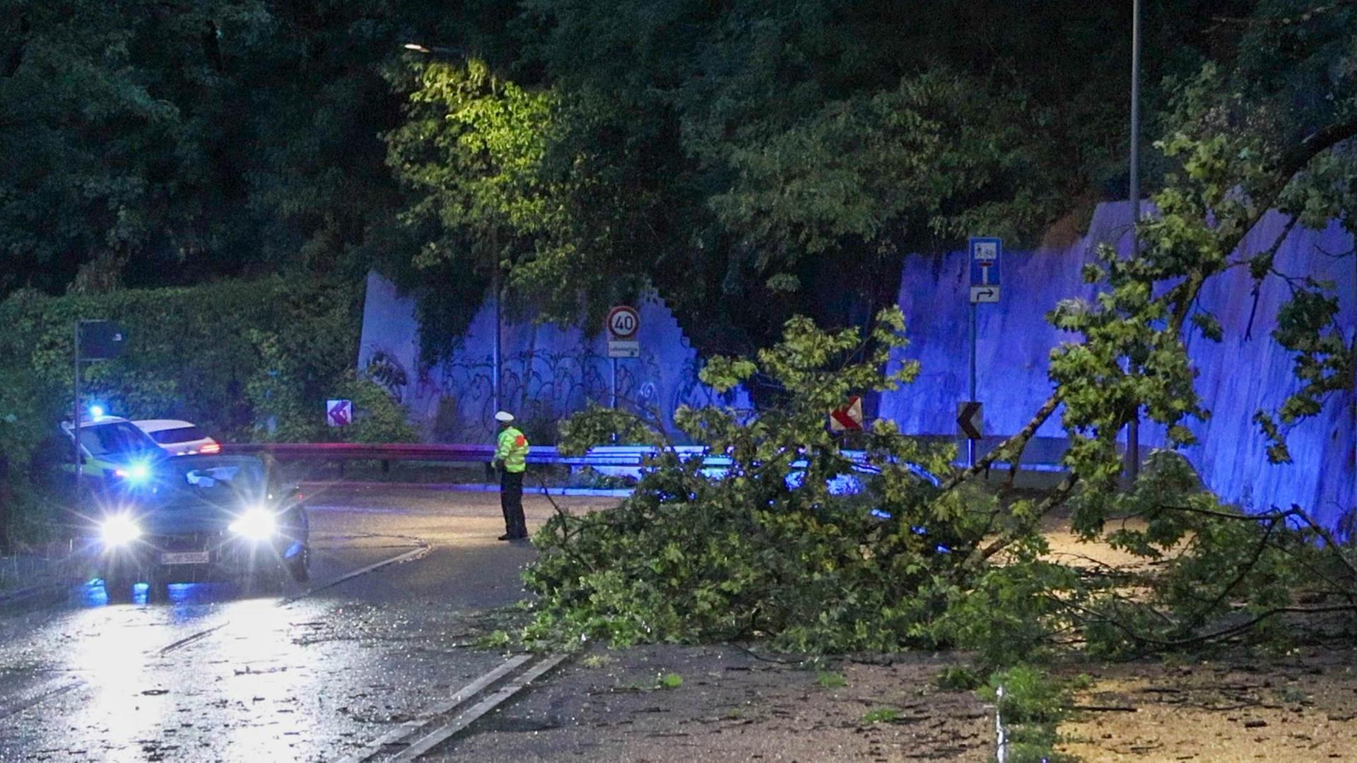 Ein Baum liegt nachts auf einer Straße in Stuttgart. Ein Polizist steht in der Bildmitte auf der Straße und regelt den Verkehr. Am linken Bildrand befinden sich Autos, darunter ein Einsatzfahrzeug der Polizei. Ein Baum liegt nachts auf einer Straße in Stuttgart. Ein Polizist steht in der Bildmitte auf der Straße und regelt den Verkehr. Am linken Bildrand befinden sich Autos, darunter ein Einsatzfahrzeug der Polizei.