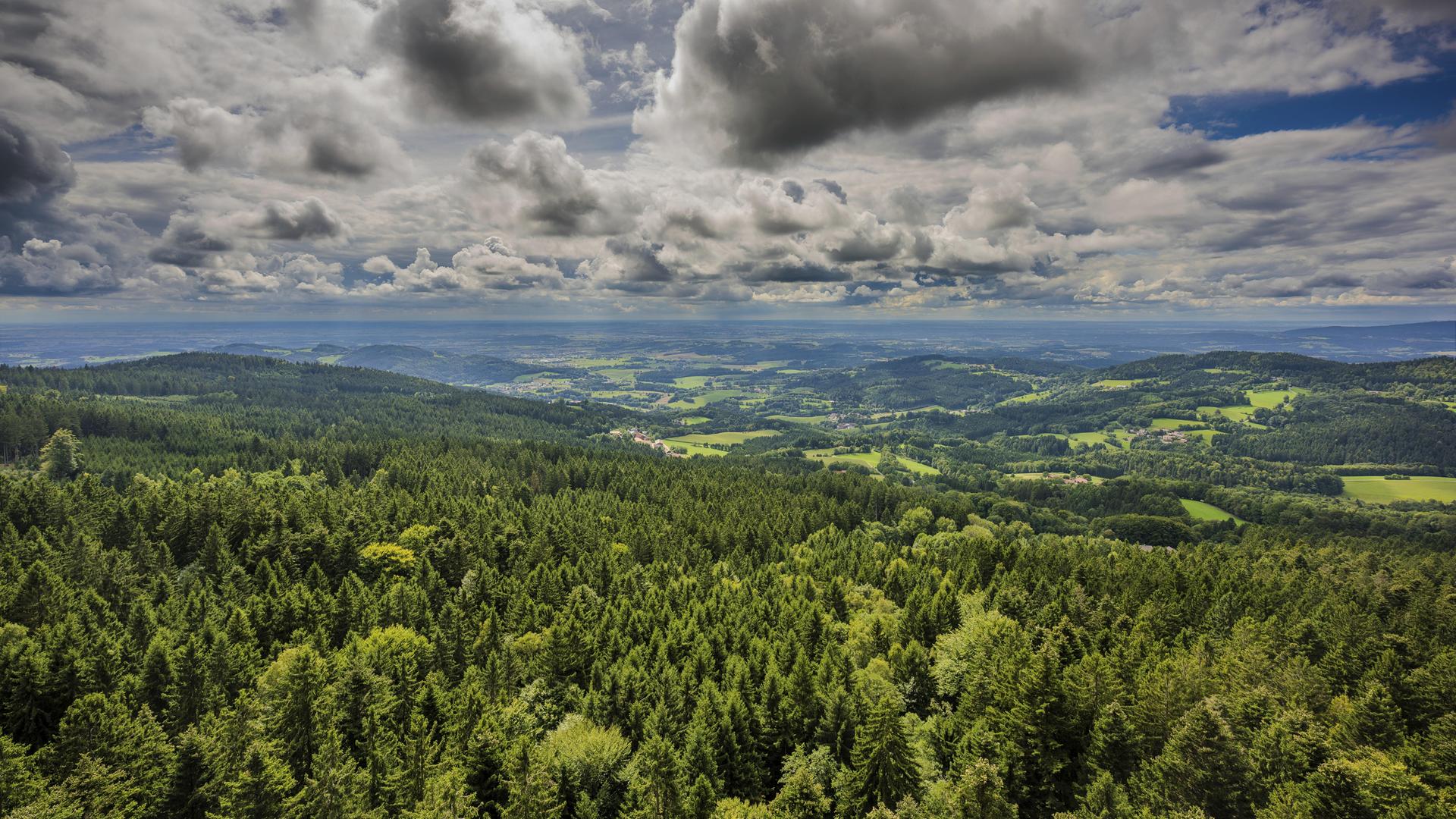 Die majestätische Landschaft bietet einen Blick auf dichte Wälder, Hügel und weitläufige Felder, während sich dicke Wolken über den Himmel ziehen. 