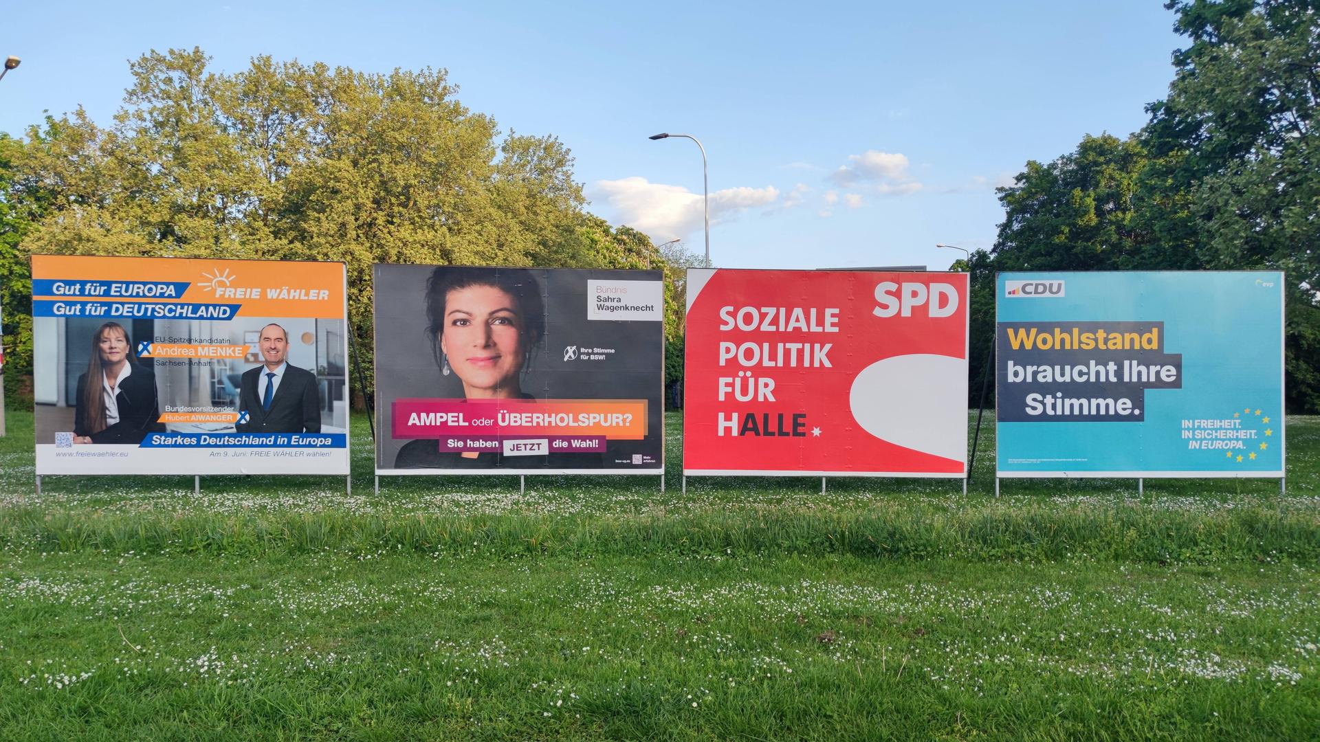 Auf einer Wiese stehen Wahlplakate zur Europa- und Kommunalwahl in Sachsen-Anhalt