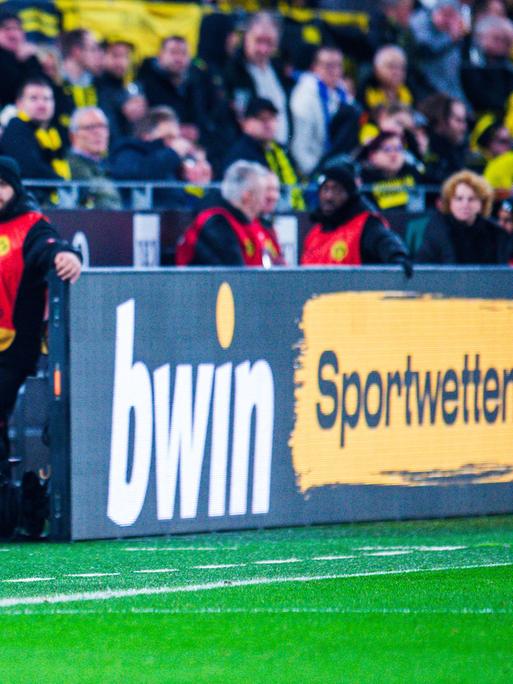 BVB-Trainer Edin Terzic steht neben einer Werbebande mit der Aufschrift "bwin Sportwetten"