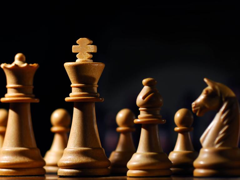 Das Bild zeigt Schachfiguren, die um den weißen König gruppiert sind. 