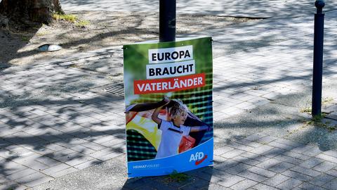 Ein Wahlplakat mit der Aufschrift "Europa braucht Vaterländer" 